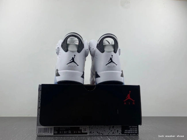 Rep LUCY Jordan Oreo 6 Reverse Air CT8529-112 0701